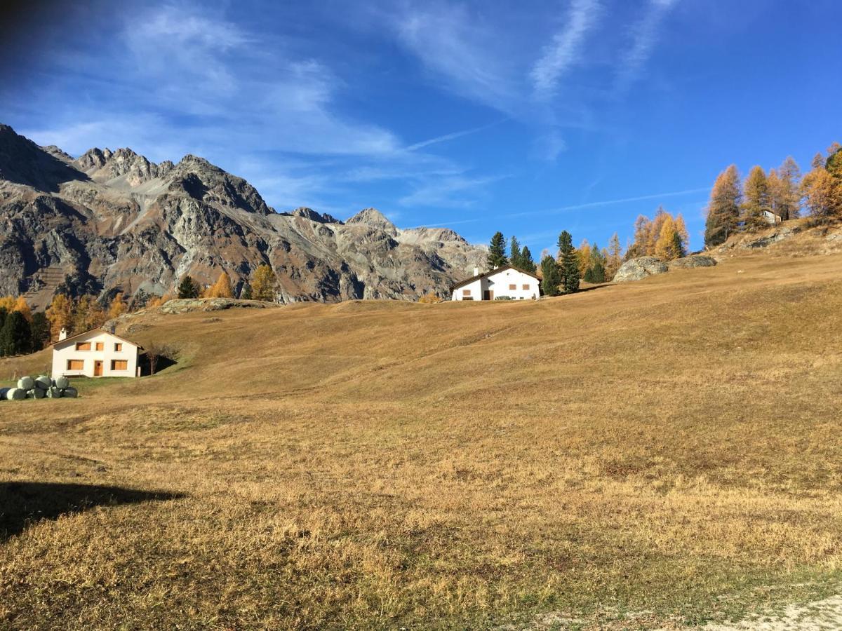 Chesa Viletta La Punt-Chamues-ch Dış mekan fotoğraf
